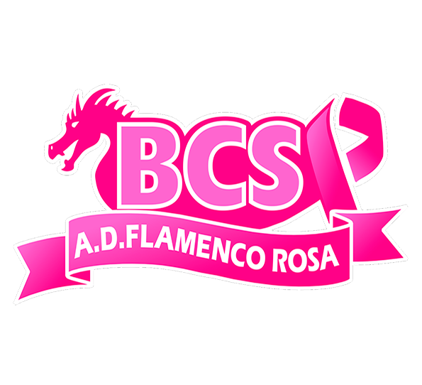 Flamenco Rosa